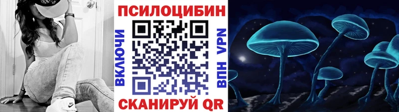 Псилоцибиновые грибы Psilocybine cubensis  закладки  Бабушкин 